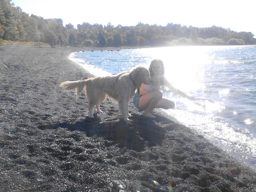 Bosque Del Lago プコン エクステリア 写真